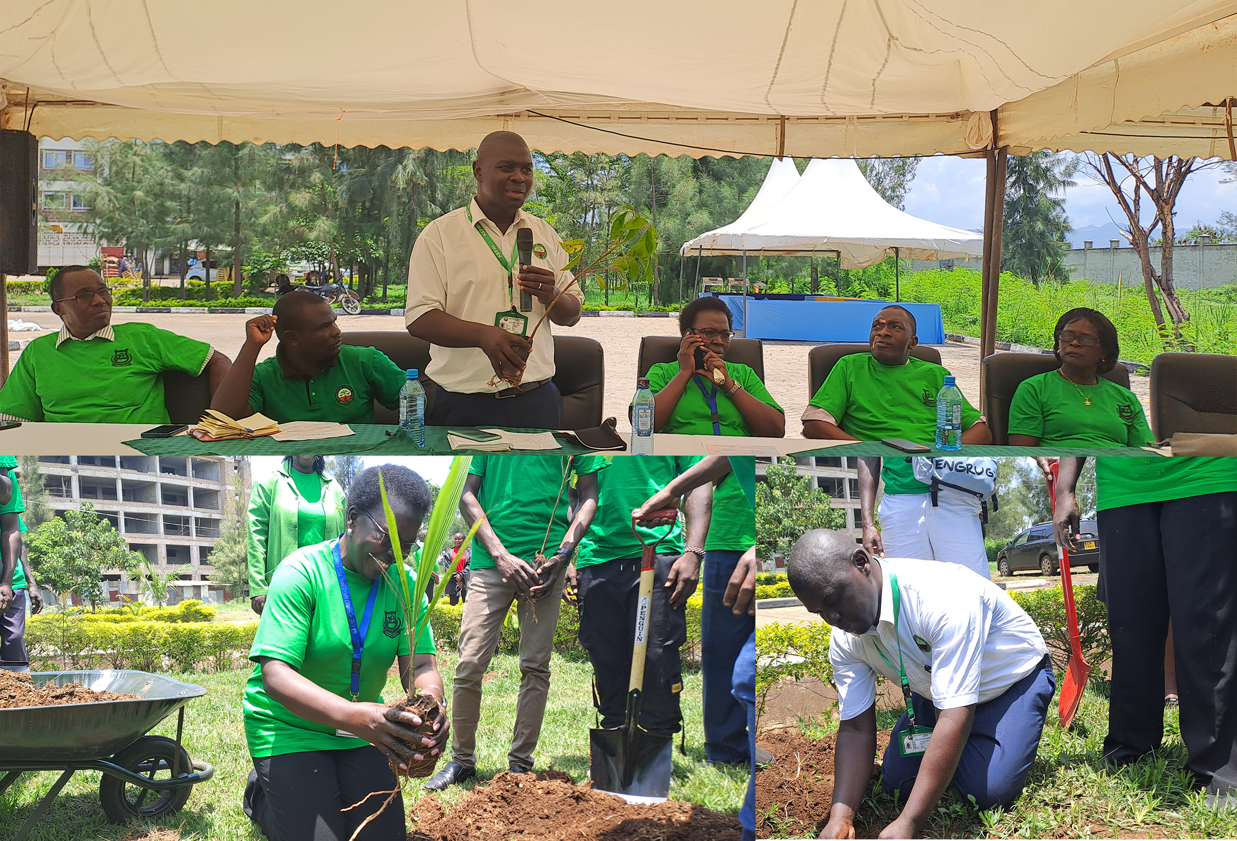 Greening TVET Launched by KEFRI Regional Director