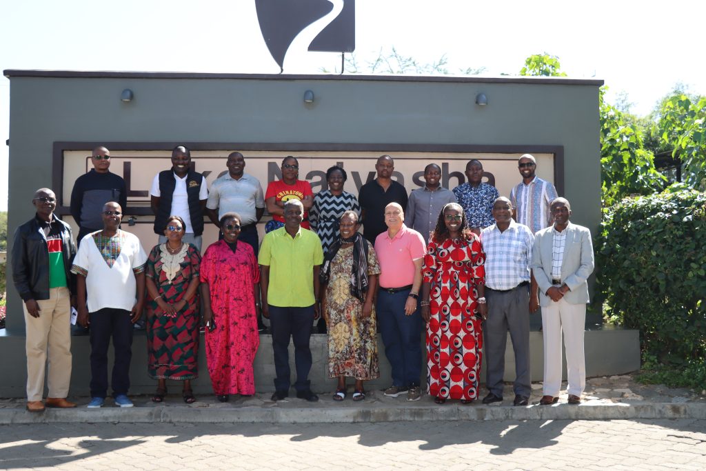 Council & Management Board